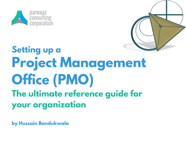 File:Setting up a PMO.png